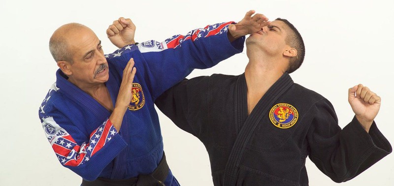 TM-Martial-Arts-self-defense-banner